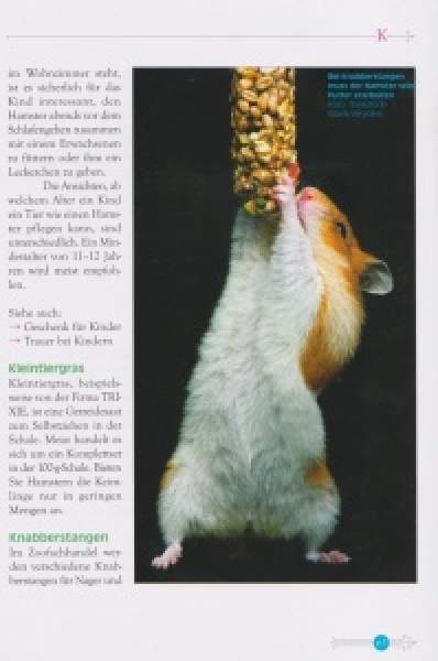 Preview: Das kleine Hamsterlexikon